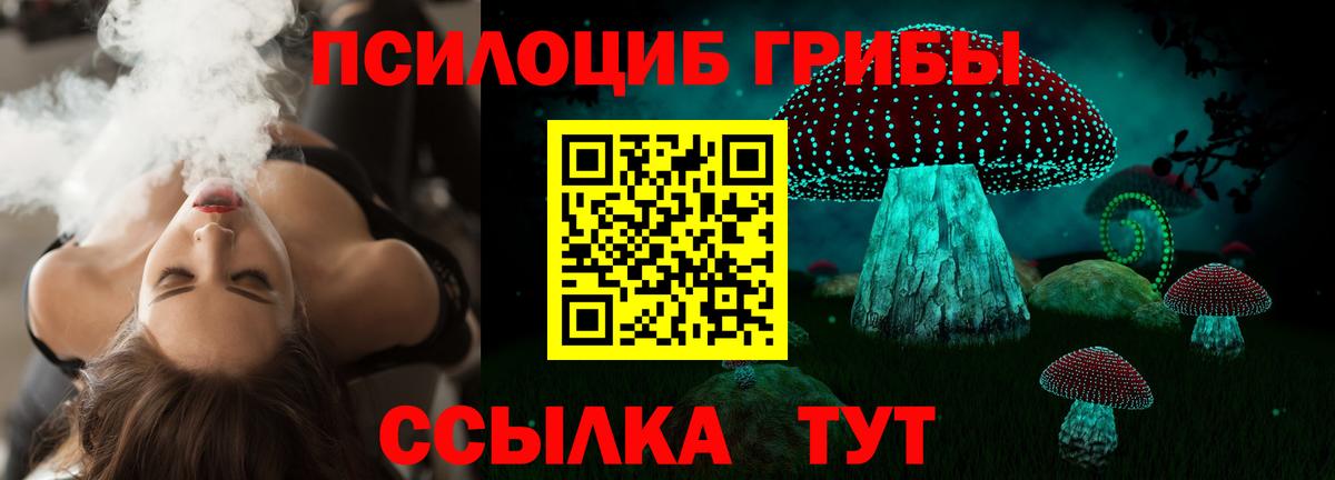 Псилоцибиновые грибы Psilocybine cubensis  купить  цена  Псилоцибиновые грибы прущие грибы  Советская Гавань  Вход с VPN 